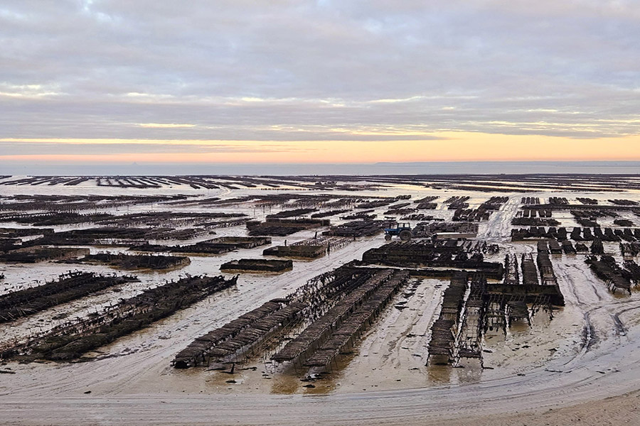 Parc à huîtres