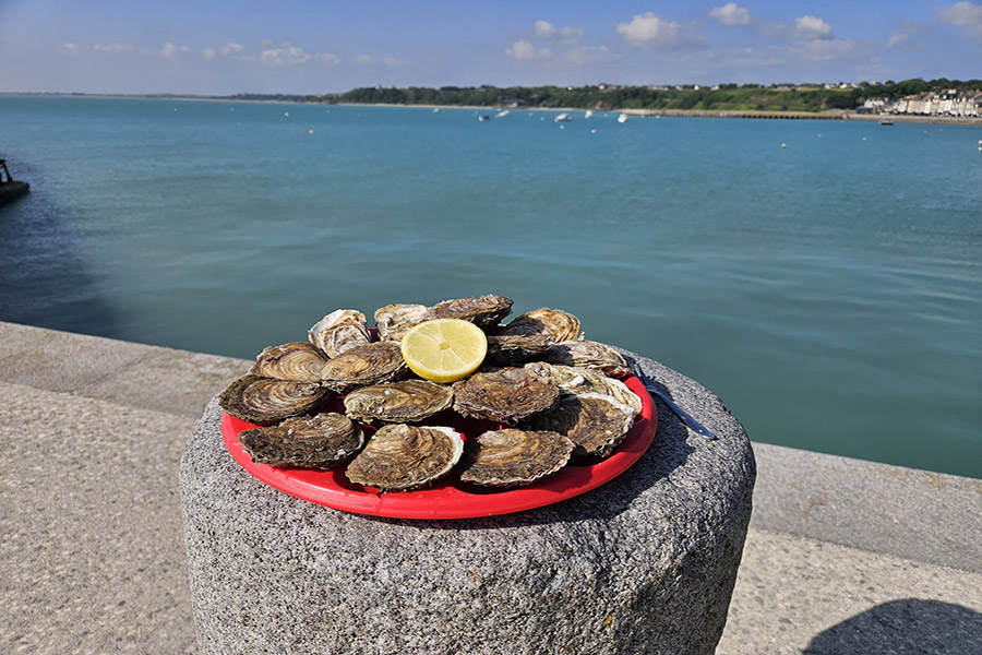 Plateau d'huîtres de Cancale